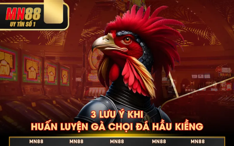 3 lưu ý khi huấn luyện gà chọi đá hầu kiềng