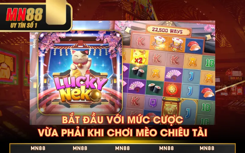 Bắt đầu với mức cược vừa phải khi chơi Mèo Chiêu Tài