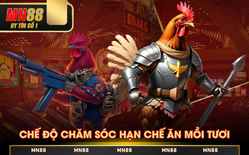 Chế độ chăm sóc hạn chế ăn mồi tươi