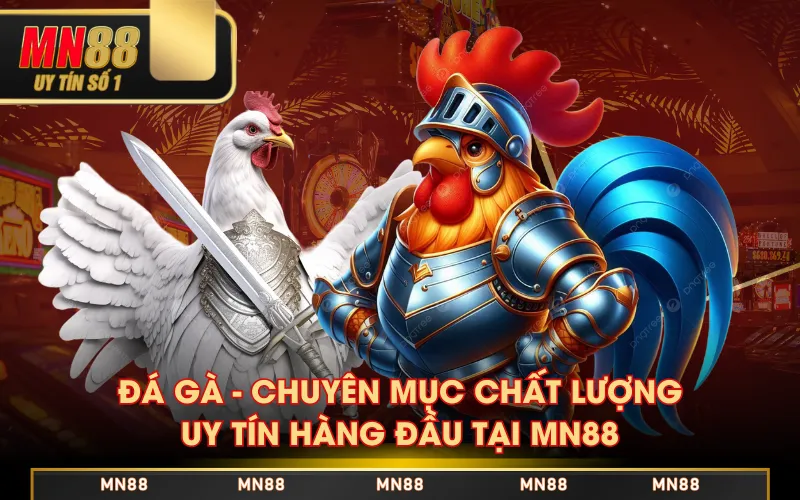 Đá gà - Chuyên mục chất lượng, uy tín hàng đầu tại MN88