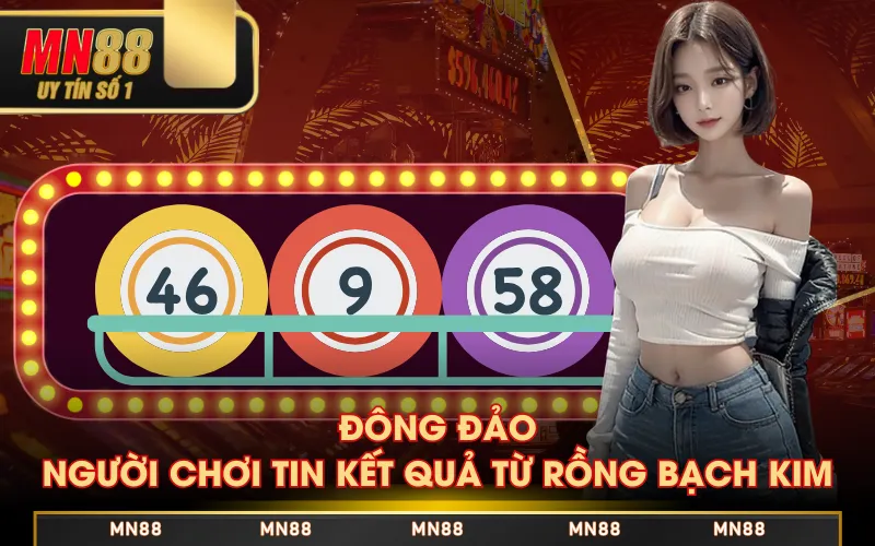 Đông đảo người chơi tin kết quả từ Rồng Bạch Kim