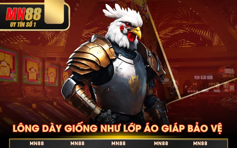 Lông dày giống như lớp áo giáp bảo vệ