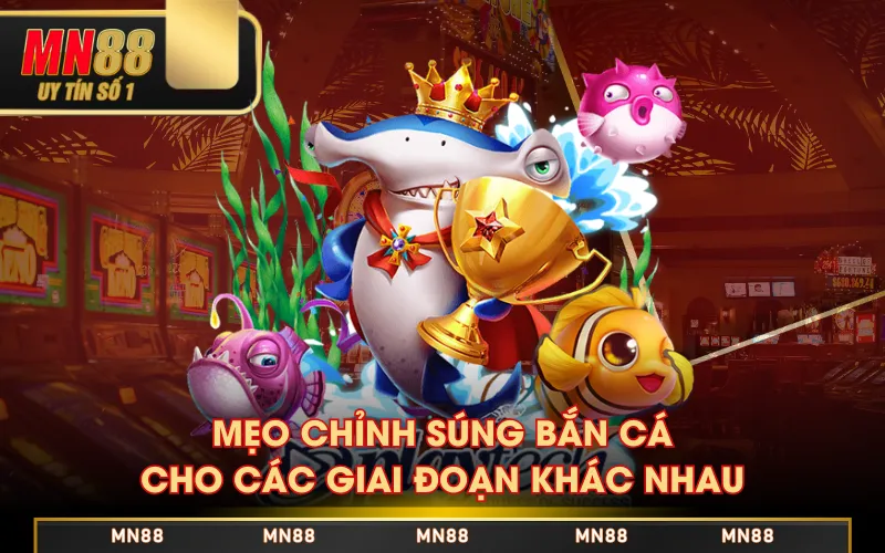 Mẹo chỉnh súng bắn cá cho các giai đoạn khác nhau